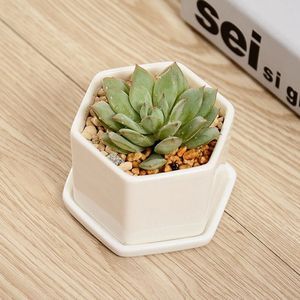 Ceramic Bonsai Pots Wholesale Mini Floor Seeding Succulent Indoor Home Nursery