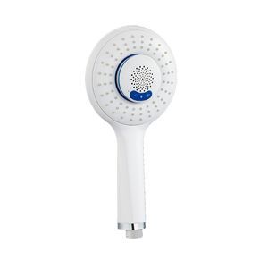 Bathroom Shower Heads Single function Adjustable Bracket Polished