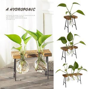 Vases Terrarium Hydroponic Plant Vase as pic